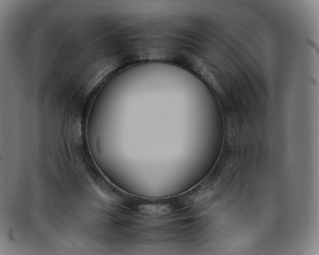 X0000097480251200803071723