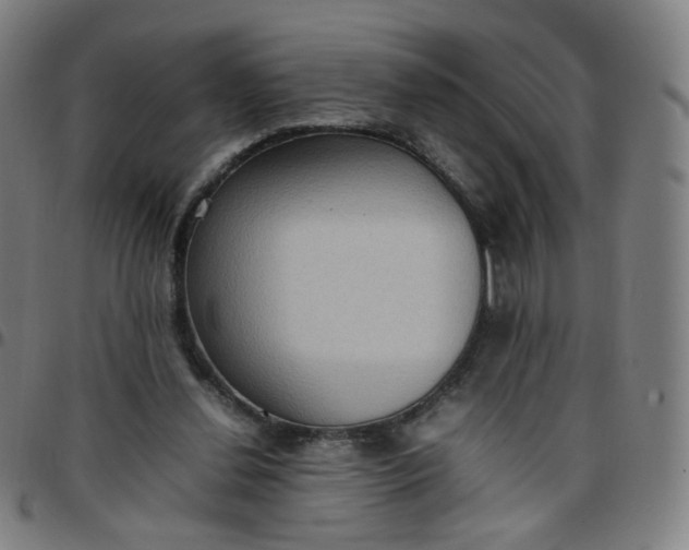 X0000097480252200803071723