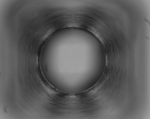 X0000097480253200803071723