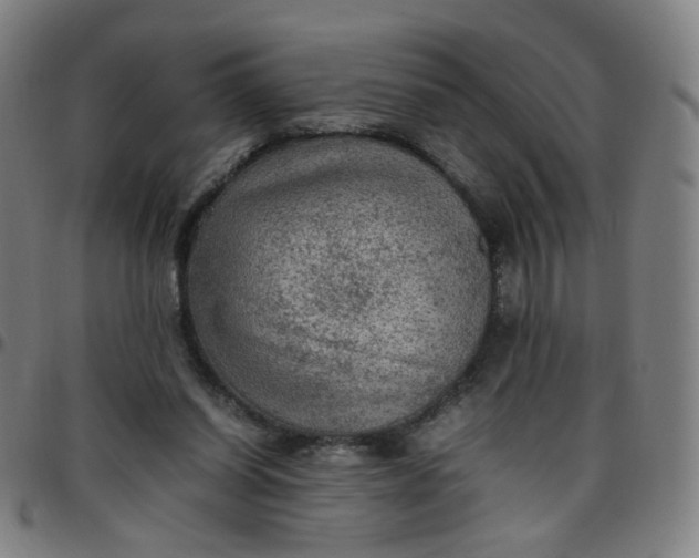 X0000097480254200803071723