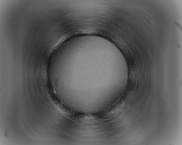 X0000097480256200803071723