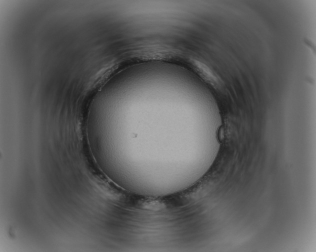 X0000097480258200803071723