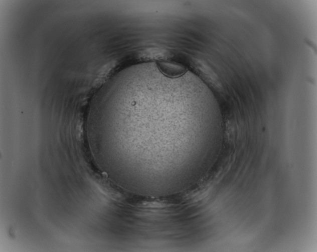 X0000097480259200803071723