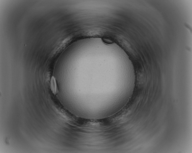 X0000097480260200803071723