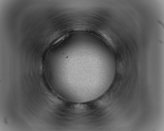 X0000097480261200803071723