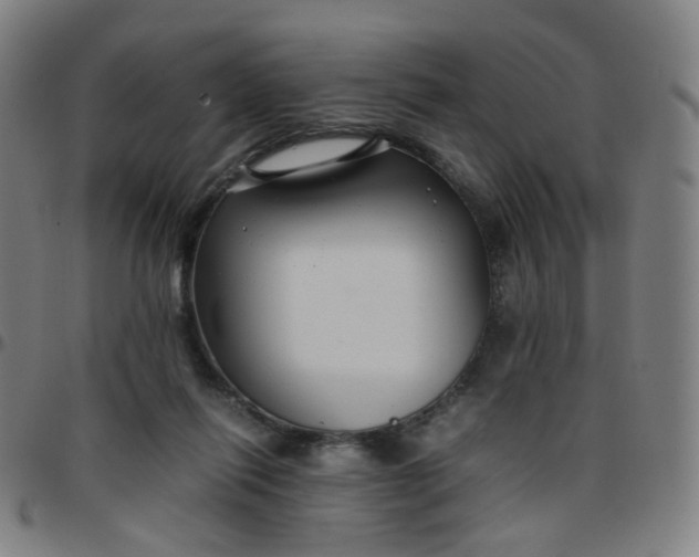 X0000097480262200803071723