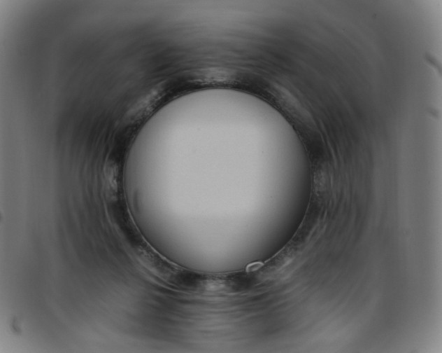 X0000097480264200803071723