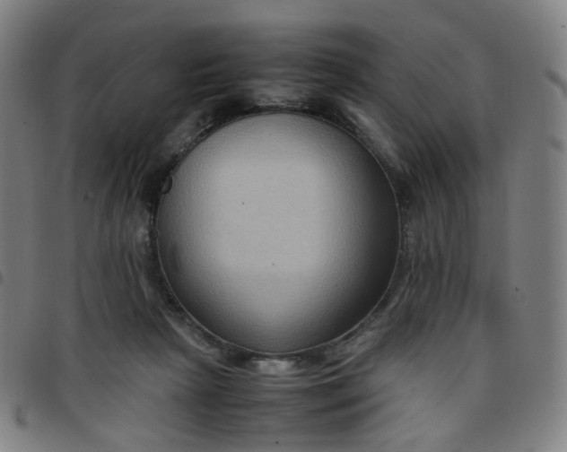 X0000097480265200803071723