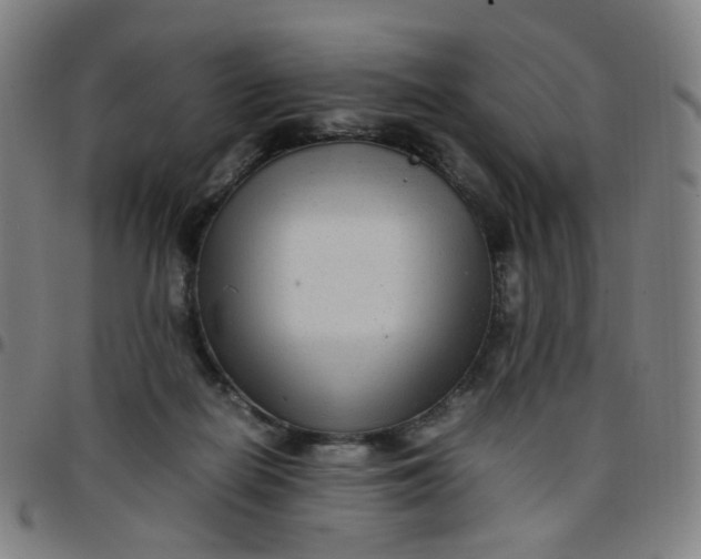 X0000097480266200803071723