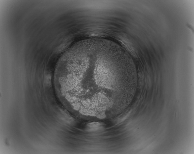 X0000097480269200803071723