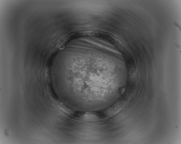 X0000097480270200803071723