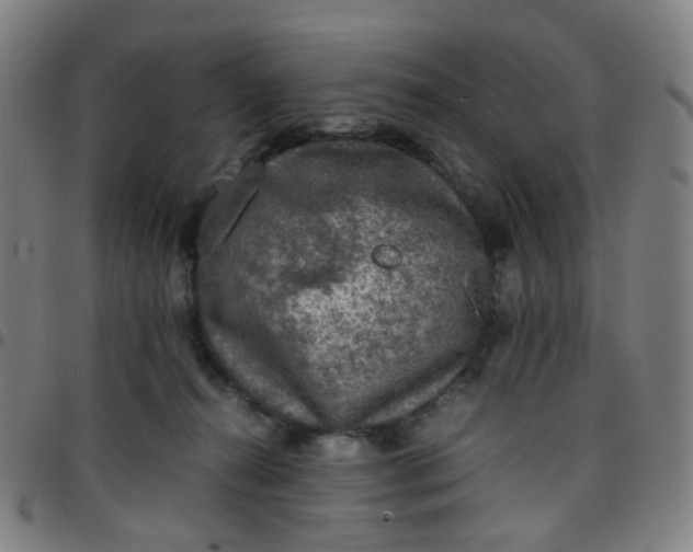 X0000097480272200803071723