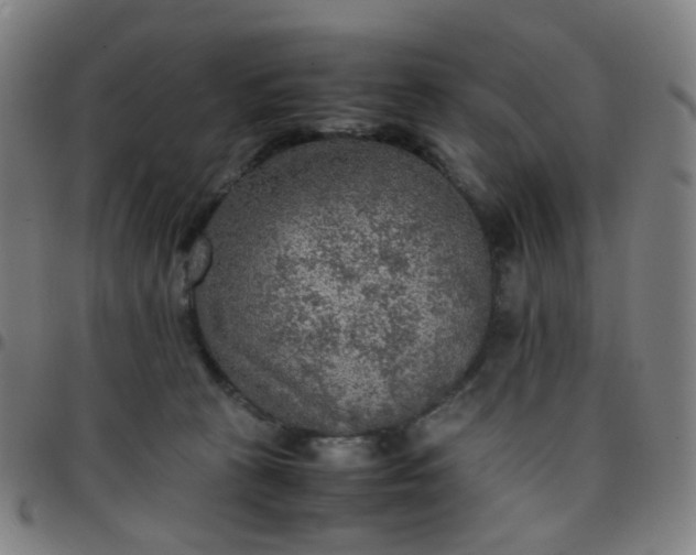 X0000097480273200803071723