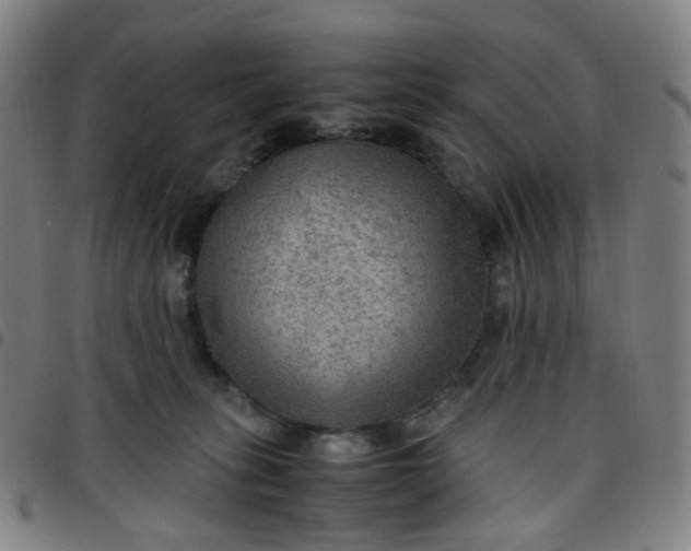 X0000097480275200803071723