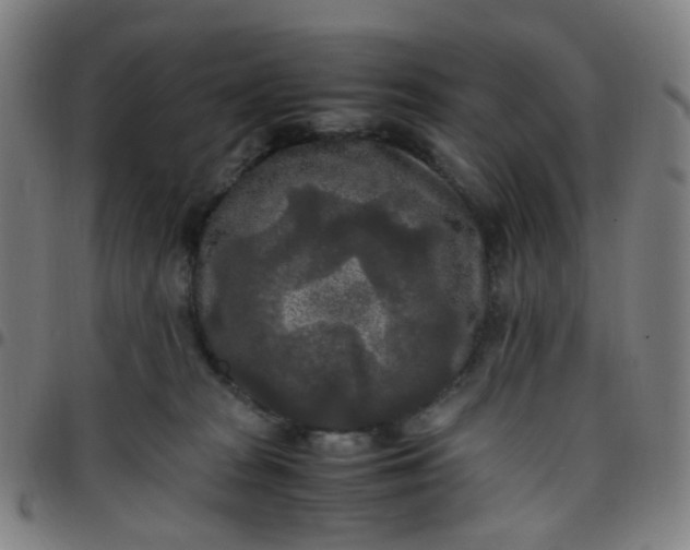 X0000097480277200803071723