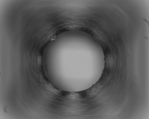 X0000097480278200803071723