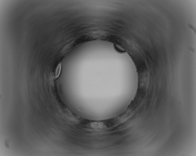 X0000097480279200803071723