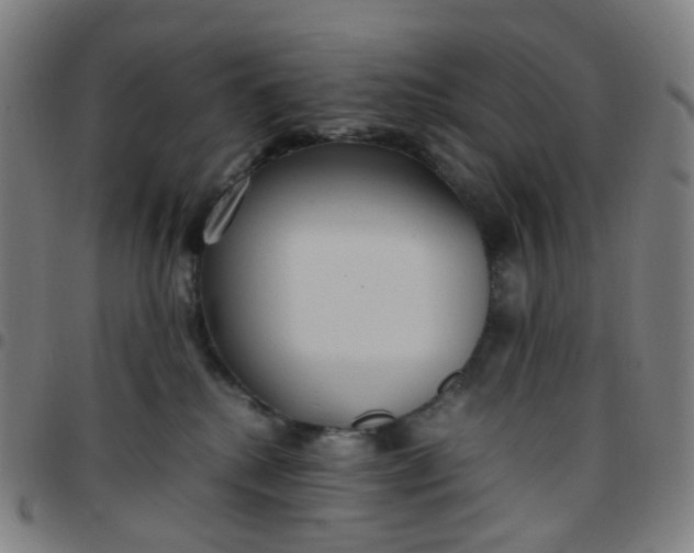 X0000097480280200803071723