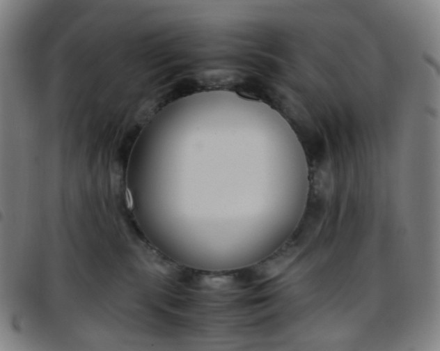 X0000097480283200803071723