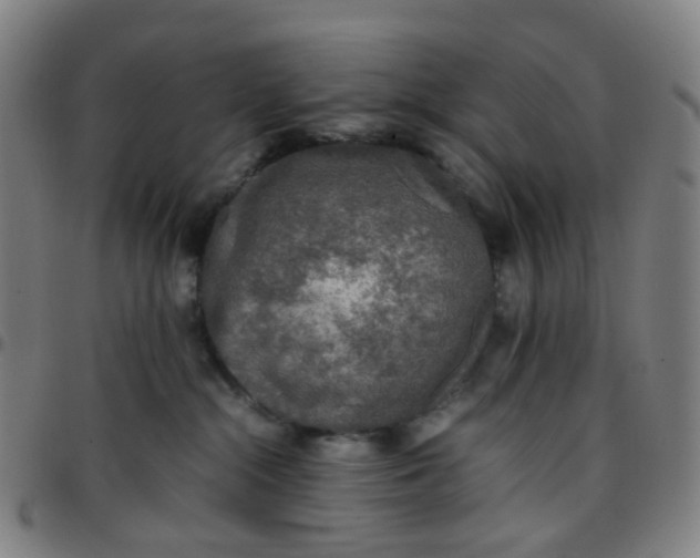 X0000097480284200803071723