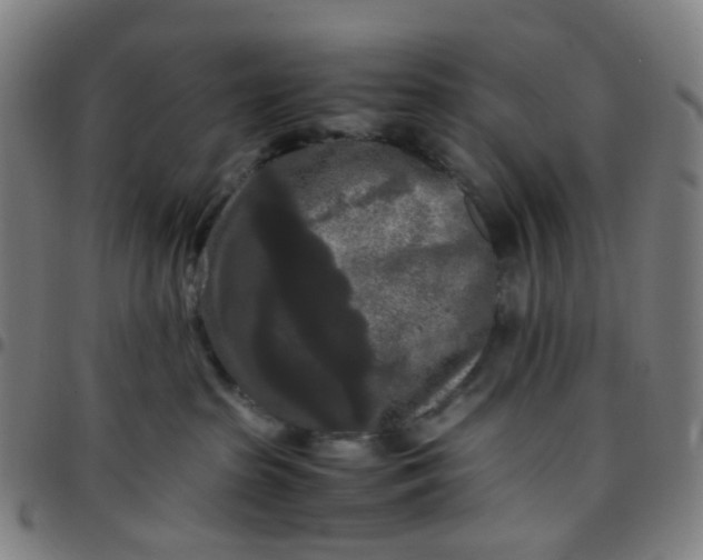 X0000097480285200803071723