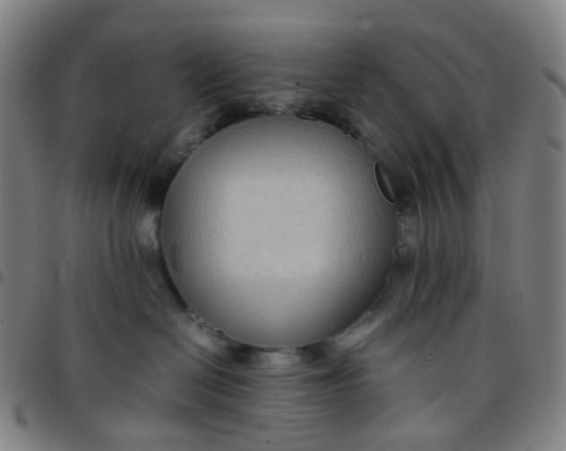 X0000097480286200803071723