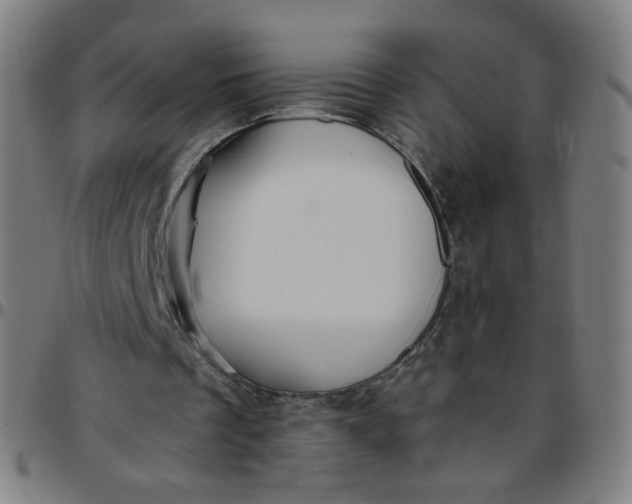 X0000097480289200803071723