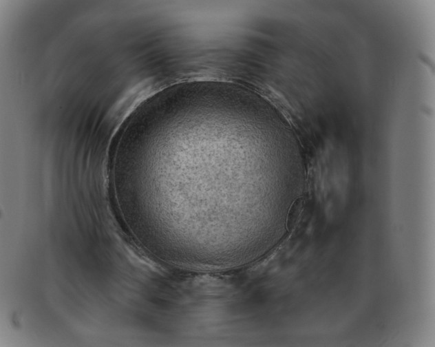 X0000097480290200803071723