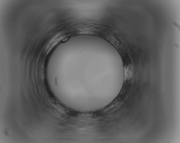 X0000097480291200803071723