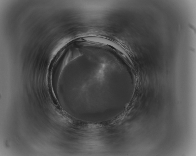 X0000097480292200803071723