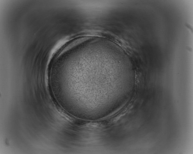 X0000097480294200803071723