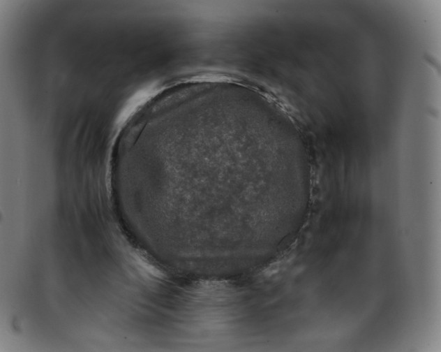 X0000097480296200803071723