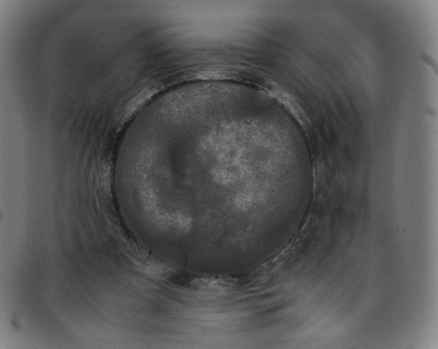 X0000097480297200803071722