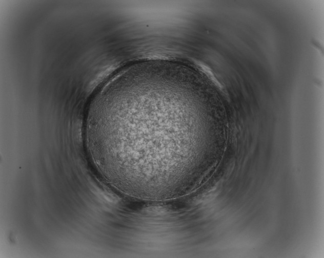 X0000097480299200803071722