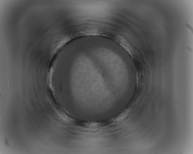 X0000097480301200803071722