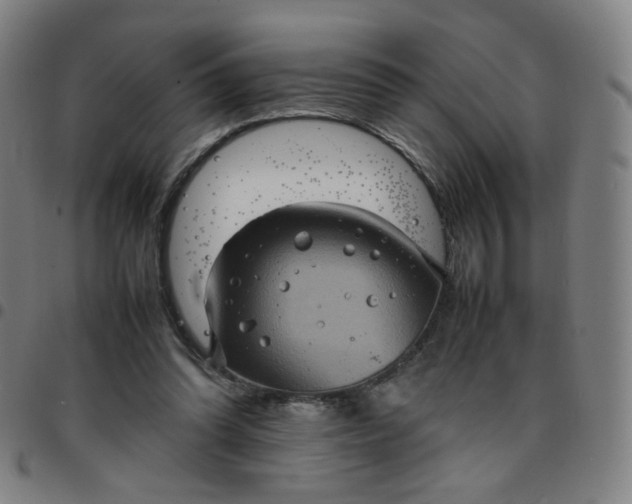 X0000097480302200803071722