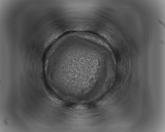 X0000097480303200803071722