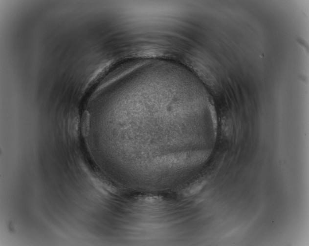 X0000097480304200803071722