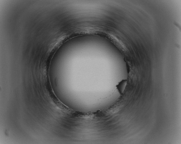 X0000097480306200803071722