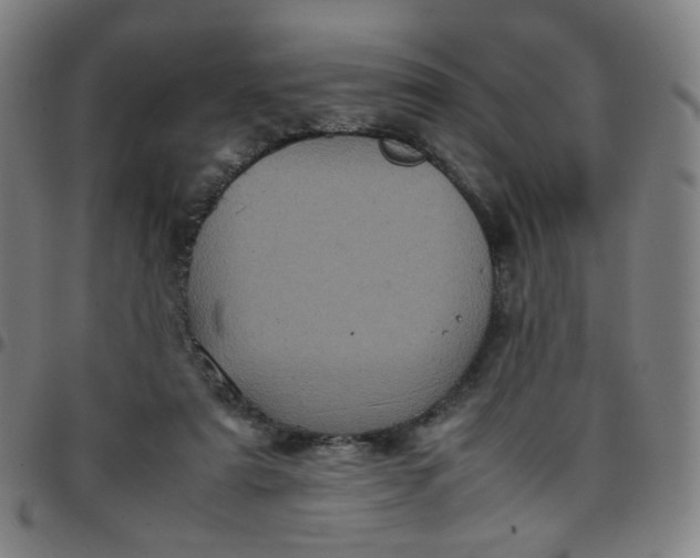 X0000097480307200803071722