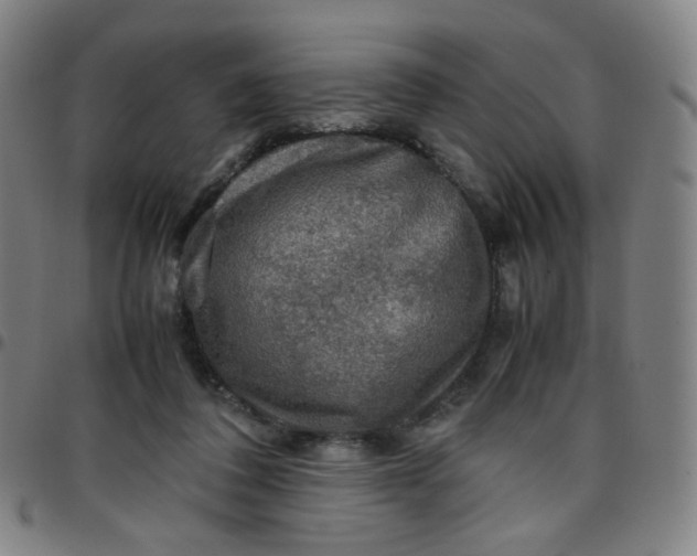 X0000097480308200803071722