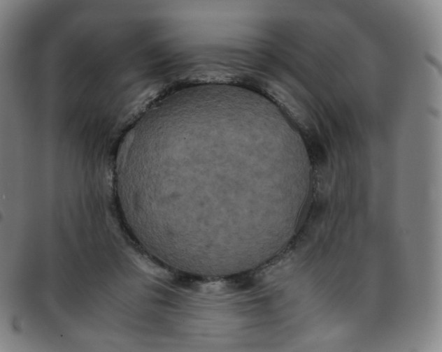 X0000097480309200803071722