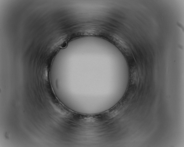 X0000097480310200803071722