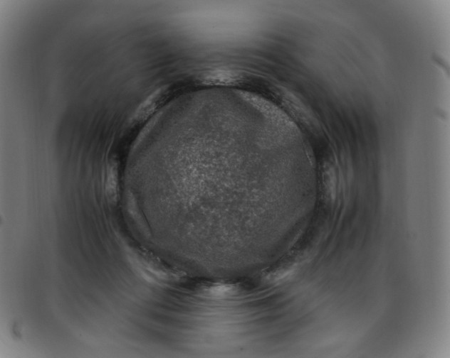 X0000097480312200803071722