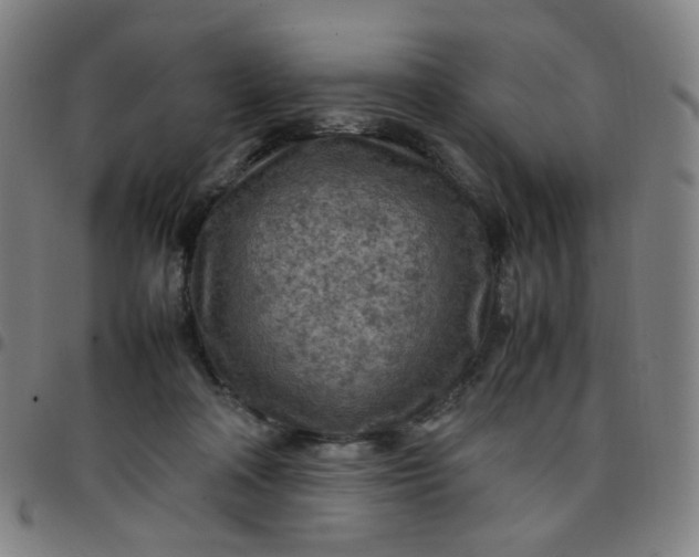 X0000097480314200803071722