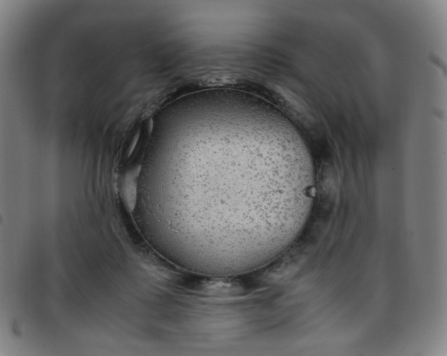 X0000097480315200803071722