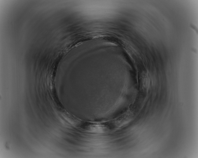 X0000097480316200803071722