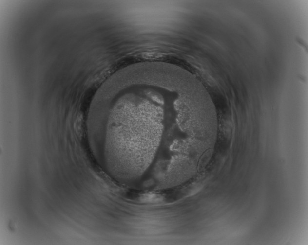 X0000097480319200803071722