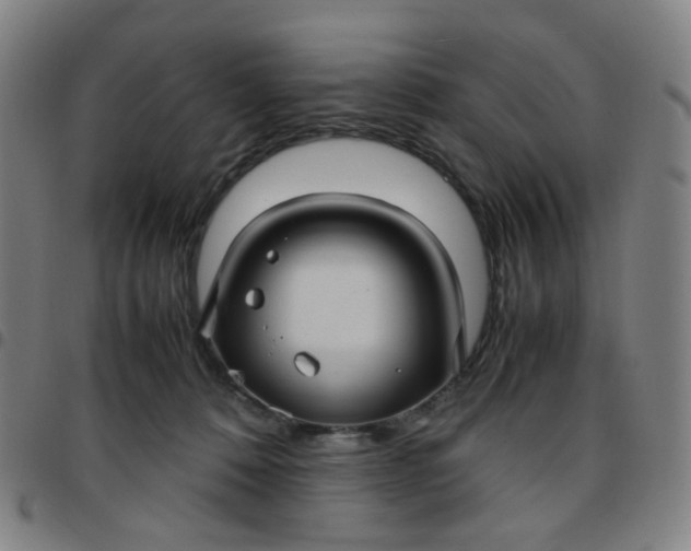 X0000097480320200803071722