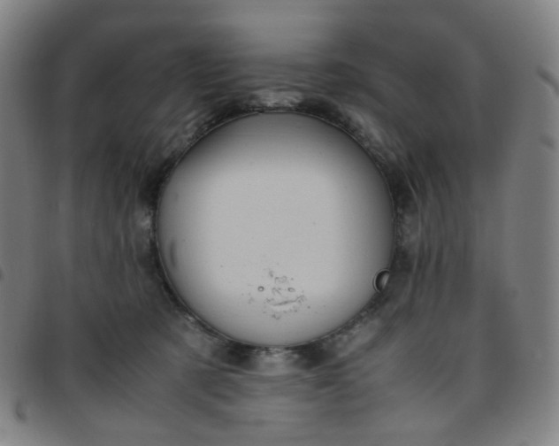 X0000097480321200803071722